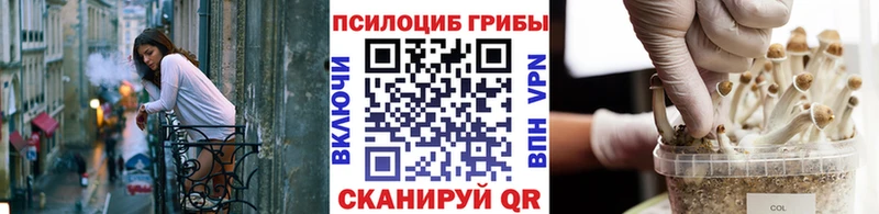 Псилоцибиновые грибы Magic Shrooms  Купить  Берёзовка 